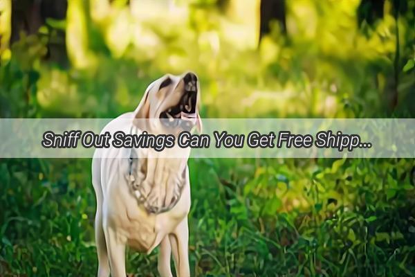 Sniff Out Savings Can You Get Free Shipping on Flipping Dogs on Xianyu Find Out Now